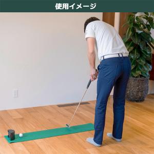 タバタ ゴルフ マルチカップ パットの極意 藤...の詳細画像1