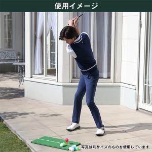 タバタ ゴルフ パーマネントティー 70 GV...の詳細画像5