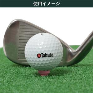 【メール便対応】タバタ ゴルフ ショートティー...の詳細画像3