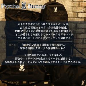 【メール便送料無料】サイコバニーゴルフ アクリ...の詳細画像1