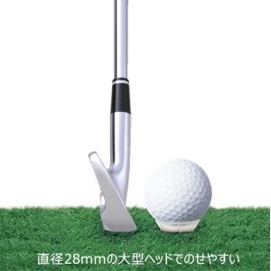 【メール便対応】ダイヤゴルフ トマホークティー...の詳細画像2