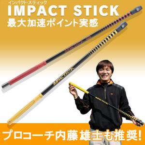 (期間限定)(送料無料) ヤマニゴルフ インパ...の詳細画像1