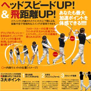 (期間限定)(送料無料) ヤマニゴルフ インパ...の詳細画像2