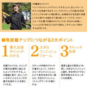 (期間限定)(送料無料) ヤマニゴルフ インパ...の詳細画像3