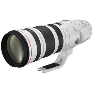 Canon 望遠ズームレンズ EF200-400mm F4 L IS USM EXTENDER1.4× フルサイズ対応