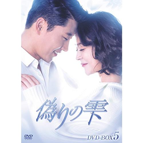 偽りの雫 DVD BOX V