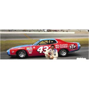 サルビノス J・R モデル 1/25 NASCAR 1973 ダッジ チャージャー リチャード・ペテ...