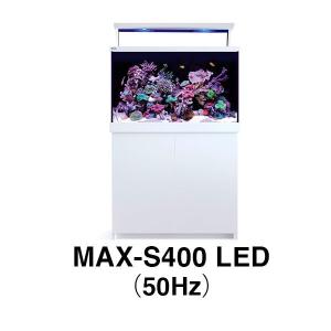レッドシー 旧MAX-S用 MAX S-400 LED ホワイト 50Hz（受注生産：最短納期約3ヶ月）