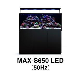 レッドシー 旧MAX-S用 MAX S-650 LED ブラック 50Hz（受注生産：最短納期約3ヶ月）