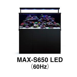 レッドシー 旧MAX-S用 MAX S-650 LED ブラック 60Hz（受注生産：最短納期約3ヶ月）