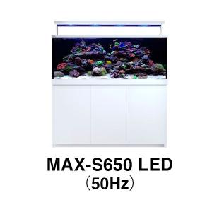 レッドシー 旧MAX-S用 MAX S-650 LED ホワイト 50Hz（受注生産：最短納期約3ヶ月）