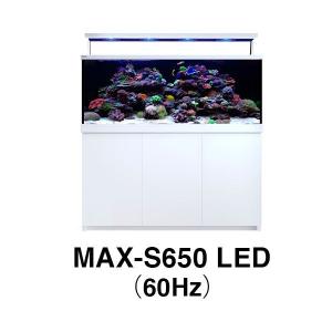 レッドシー 旧MAX-S用 MAX S-650 LED ホワイト 60Hz（受注生産：最短納期約3ヶ月）