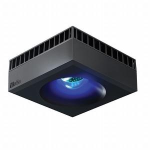 レッドシー MAX NANO Peninsul...の詳細画像5