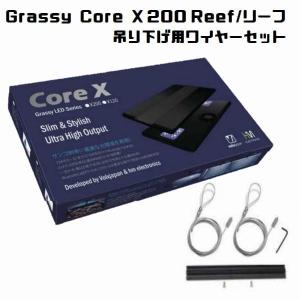 ボルクス Grassy CoreX 200 / グラッシー・コアX200 リーフ