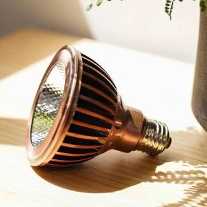 レッドシー 淡水水槽用LED照明 オルカ オプティマス フレッシュナノ