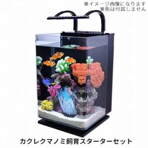 G3 Aqua Lab ヤフーショップ セット水槽 小型水槽 水槽関連 Yahoo ショッピング