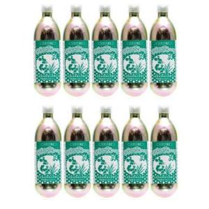 AIネット CO2エコボンべ 10本