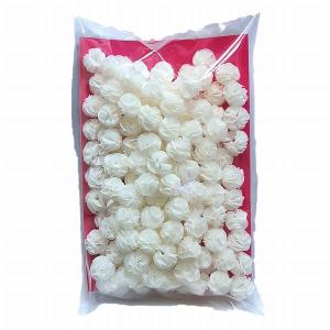 レッドシー キャビティ Cavity 1L 物理・生物ろ過ろ材 ウォーター