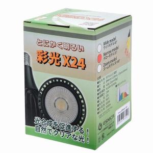 アクリル水槽 W1200xD450xH450（板厚：側面6mm・底面5mm） 120cmクリア