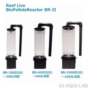リーフライブインスパイア　V-spec200 プロテインスキマー LSS研究所 ReefLive V-Spec 200 プロテインスキマー : G3 AQUA
