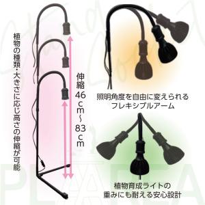 ゼンスイ プラエリア スタンドソケット ブラッ...の詳細画像1