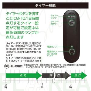 ゼンスイ プラエリア スタンドソケット ブラッ...の詳細画像2