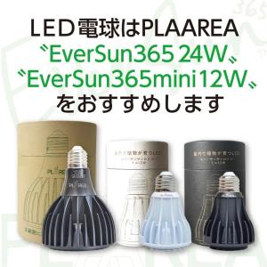 ゼンスイ プラエリア スタンドソケット ブラッ...の詳細画像3