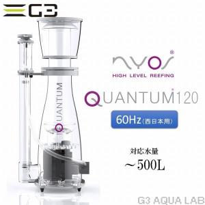 【美品】Ｈ＆Ｓー４００　５０Hz　プロティンスキマー H&S 外部式プロテインスキマー HS-A400 : G3 AQUA LAB ヤフーショップ