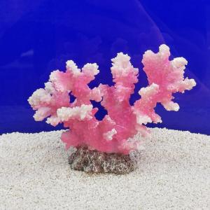 ゼンスイ ZEST レプリカサンゴ M-10（ホワイトパープル） : G3 AQUA