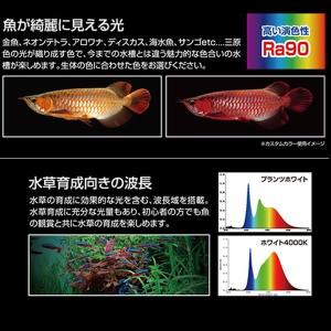 ゼンスイ 水中マルチカラーLED 60cm水槽...の詳細画像2