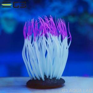 レッドシー ATS ミニライブロックレプリカ（G47） 約25cm : G3 AQUA