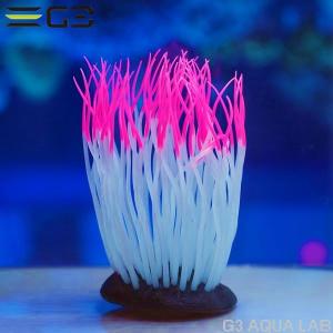 レッドシー ATS ミニライブロックレプリカ（G47） 約25cm : G3 AQUA