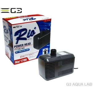 カミハタ Rio+ 2100（リオプラス） 流量38.0L/m（60Hz/西日本用） : G3