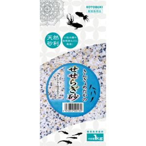 在庫限り ADA DOOA ストリームパイプ オーブP1 : G3 AQUA LAB ヤフー