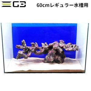 60cmレギュラー水槽用 ライブロックレイアウト販売 浮遊系レイアウトセット レプリカライブロック（幅60奥行30cm）｜g3aqualab