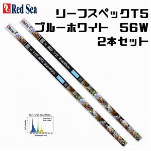 レッドシー リーフスペックT5 ブルーホワイト 15000K 54Ｗ