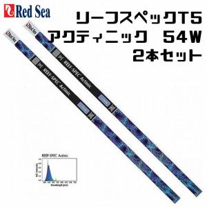 レッドシー リーフスペックT5 アクティニック 54Ｗ 2本セット