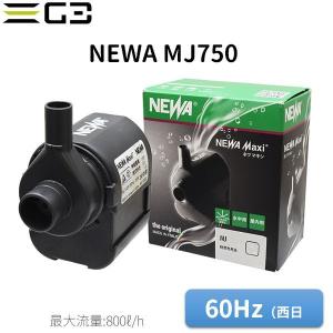 OCTO DCポンプ VarioS 4（最大流量4,000L/h） : G3 AQUA LAB ヤフー