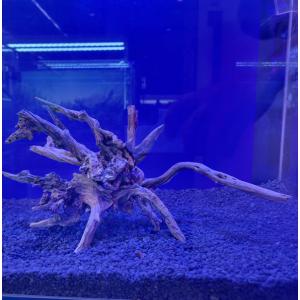レイアウト済み 流木 30cm水槽用 NO2 : G3 AQUA LAB ヤフーショップ