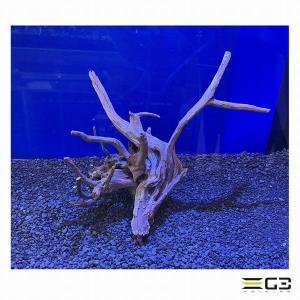 レイアウト済み 流木 30cm水槽用 NO4 : G3 AQUA LAB ヤフーショップ