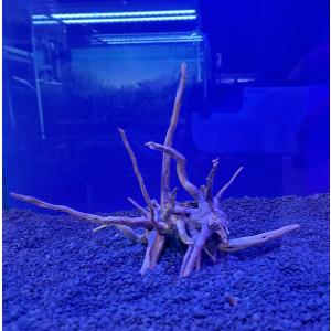 レイアウト済み 流木 30cm水槽用 NO2 : G3 AQUA LAB ヤフーショップ