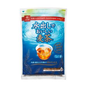 （まとめ）はくばく 水出しでおいしい麦茶 20g 1袋（18バッグ）〔×20セット〕