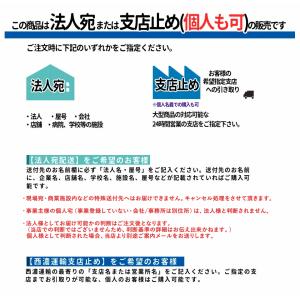 人工芝 ロール 1m×10m 5本 50平米 ...の詳細画像1