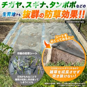 硬い材質で高耐久 防草シート 1m×50m 5...の詳細画像5