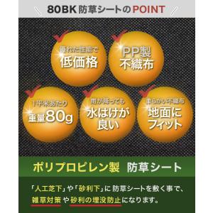 防草シート 1m×50m 50平米 ぼうそうシ...の詳細画像2