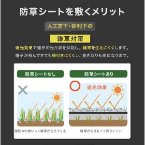防草シート 1m×50m 50平米 ぼうそうシ...の詳細画像3