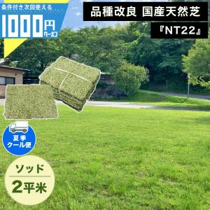30平米 TM9 鳥取産 ティーエムナイン 登録品種 30平米 9坪分 張り