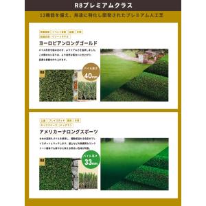 人工芝 ロール 1m×10m ピン付 10平米...の詳細画像4