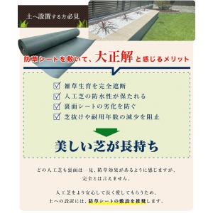 極ふか 人工芝 職人こだわりの高品質 ピン 5...の詳細画像3