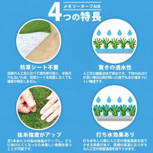 人工芝 ロール 1mx10m 10平米 芝丈 ...の詳細画像2